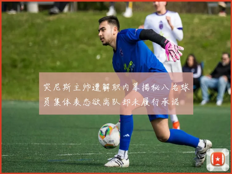 突尼斯主帅遭解职内幕揭秘八名球员集体表态欲离队却未履行承诺